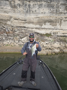Angler catching a white bass in San Antonio