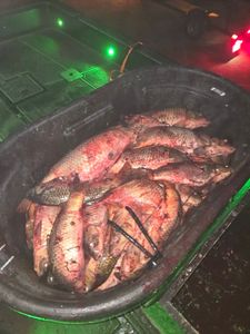 Two fishermen's catch in Ohio