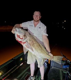 Large black drum fish caught during night fishing trip in Orange Beach Alabama