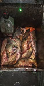 Fishing trip in OH