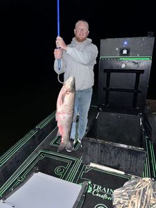 Grass carp fish caught in Ohio