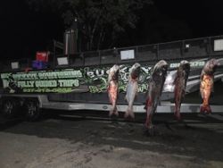 Four fish caught in Ohio while fishing