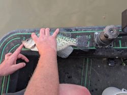 Great fishing trip in OH
