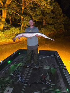 Longnose Gar Fish Caught in Ohio