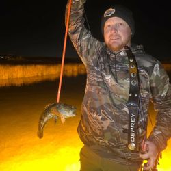Northern pike caught while bowfishing in Ohio at night