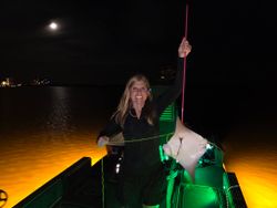 Night fishing scene with caught fish on boat deck in Orange Beach Alabama