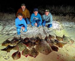 Large catch of stingrays displayed on beach sand at Orange Beach AL after successful fishing trip