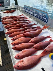 Discover the best fishing spots in Destin!