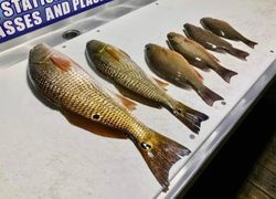 Redfish Fishing the inshore waters of Destin!