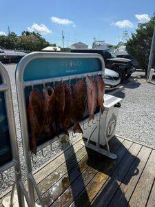 Fresh catch lineup of Grouper and Red Snapper — a solid day offshore!