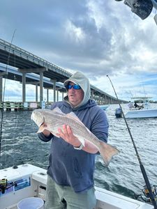 Catch of the day in Destin, FL!