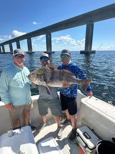 Anglers fishing in Florida