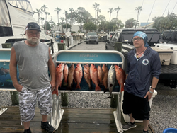 6 little tunny fish caught in FL