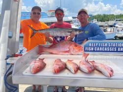 5 king mackerel, 26 inches, fishing at Shalimar