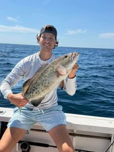 Gag grouper catch displayed on fishing boat in Shalimar FL waters