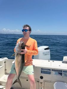 Greater amberjack caught while fishing in Shalimar FL waters from boat