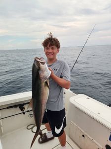 Greater amberjack caught while fishing in Shalimar FL waters