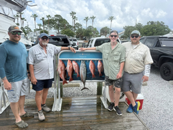5 little tunny fish caught while fishing in FL