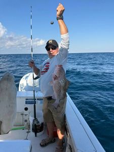 Red Grouper fishing in FL