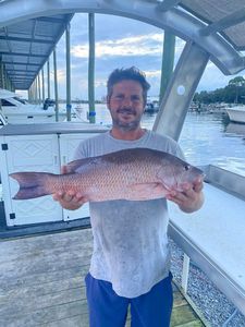 Mangrove red snapper fish caught by one person in Shalimar