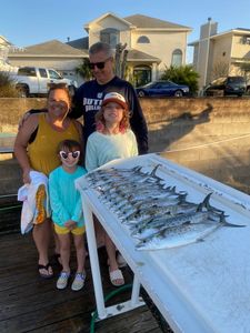 Photograph of a Spanish Mackerel, a 22-inch fish caught while fishing in FL.