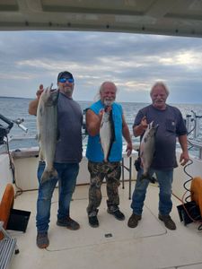 Three anglers fishing for coho salmon, rainbow trout, and chinook salmon in Mexico