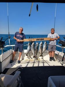 Four bluefish caught by two people in Mexico