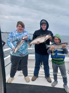 3 rainbow trout fish caught in Mexico