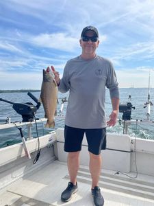 Rainbow Trout fishing in NY