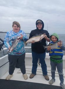 Three rainbow trout caught while fishing in NY