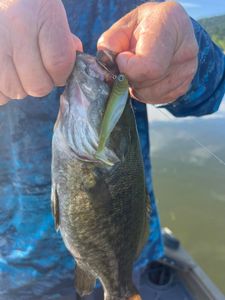 A fishing trip in PA