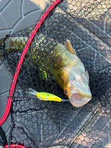 A great fishing trip in Harrisburg