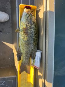 Fishing adventure in PA