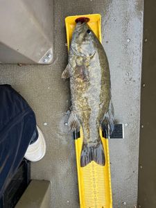 A fishing trip in Harrisburg