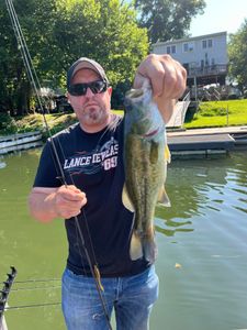 Largemouth Bass caught while fishing in Harrisburg
