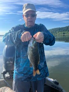 Smallmouth Bass caught in Harrisburg