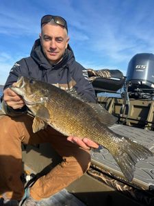Smallmouth bass fishing in Harrisburg