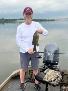Smallmouth Bass caught while fishing in PA