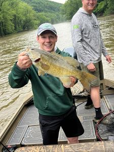 Smallmouth bass fish caught in PA