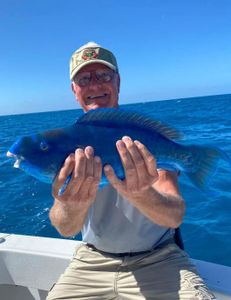 Inshore Serenity, Marathon Style Blue Parrotfish