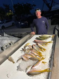 Variety Of Fish Caught in FL