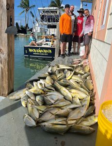 Inshore Fishing: Crevalle Jack Paradise!