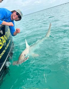 Fishing sharks catch and release.