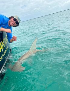 Shark catch and release from this fishing charter