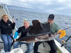 Atlantic Sailfish caught while fishing in FL