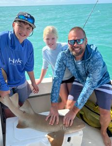 Nurse shark, 32-inch, caught in Marathon, Florida