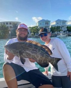 Black Grouper fish caught while fishing in Marathon