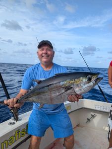 Blackfin Tuna caught while fishing in Florida