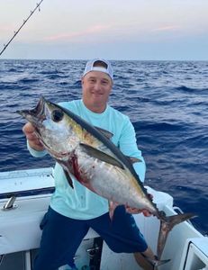Blackfin Tuna, a 28-inch fish, caught while fishing in Marathon