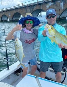 Two bluefin trevally fish, caught in Marathon, Florida.